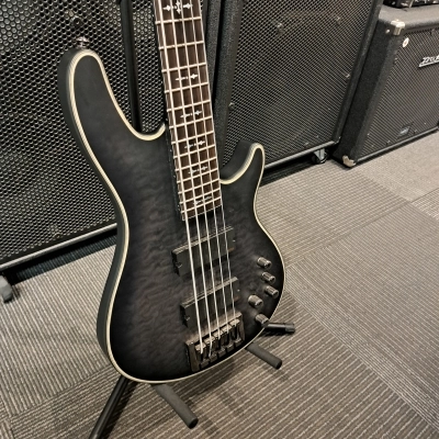 Schecter Hellraiser Extreme 5 String Bass 2